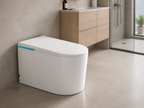ST1 Smart Toilet – Floor Mounted, Auto Open/Close, Heated Seat